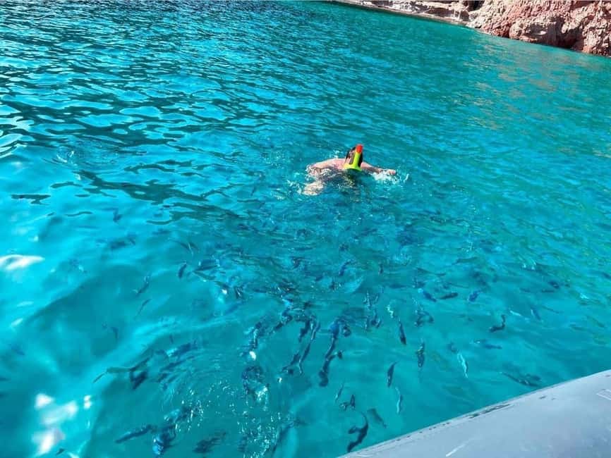 Cargèse: Capo Rosso "Snorkeling" and Sea Cave Tour - Practical advice for making the most of 45 minutes
