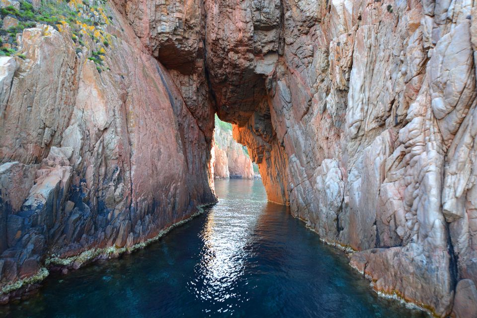 Cargèse: Scandola and Piana Boat Tour with Stop at Girolata - Wildlife Odds: Dolphins, Birds, and Why You Should Stay Still