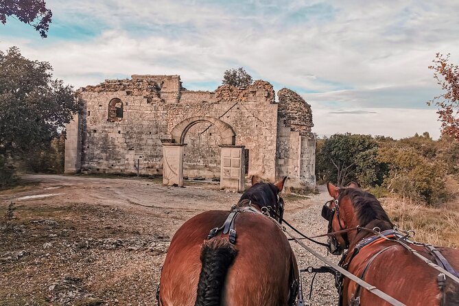 Carriage rides, Pays de Sommières - Saint-Étienne d’Escattes, a small hamlet with a long story