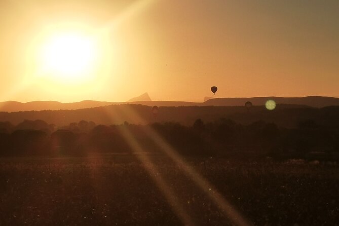 Carriage rides, Pays de Sommières - Vineyards, puechs, and changing rural land use