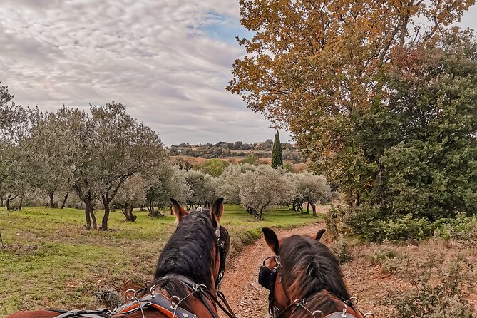 Carriage rides, Pays de Sommières - What the $34.91 price includes
