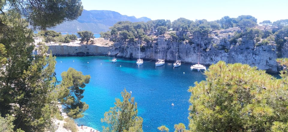 Cassis: 3 Calanques Half-Day Hiking Tour with Swimming - Guide quality and pacing: why the hike feels calm even when it’s active