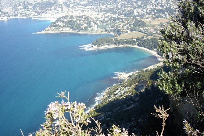 Cassis Half-Day Trip from Aix-en-Provence - Optional 1-hour calanques cruise: the add-on that changes the trip
