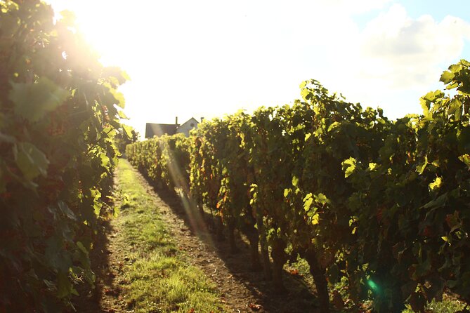 Castle Epicurean Experience with Wine & Local Specialties - Is $115.54 a fair price?