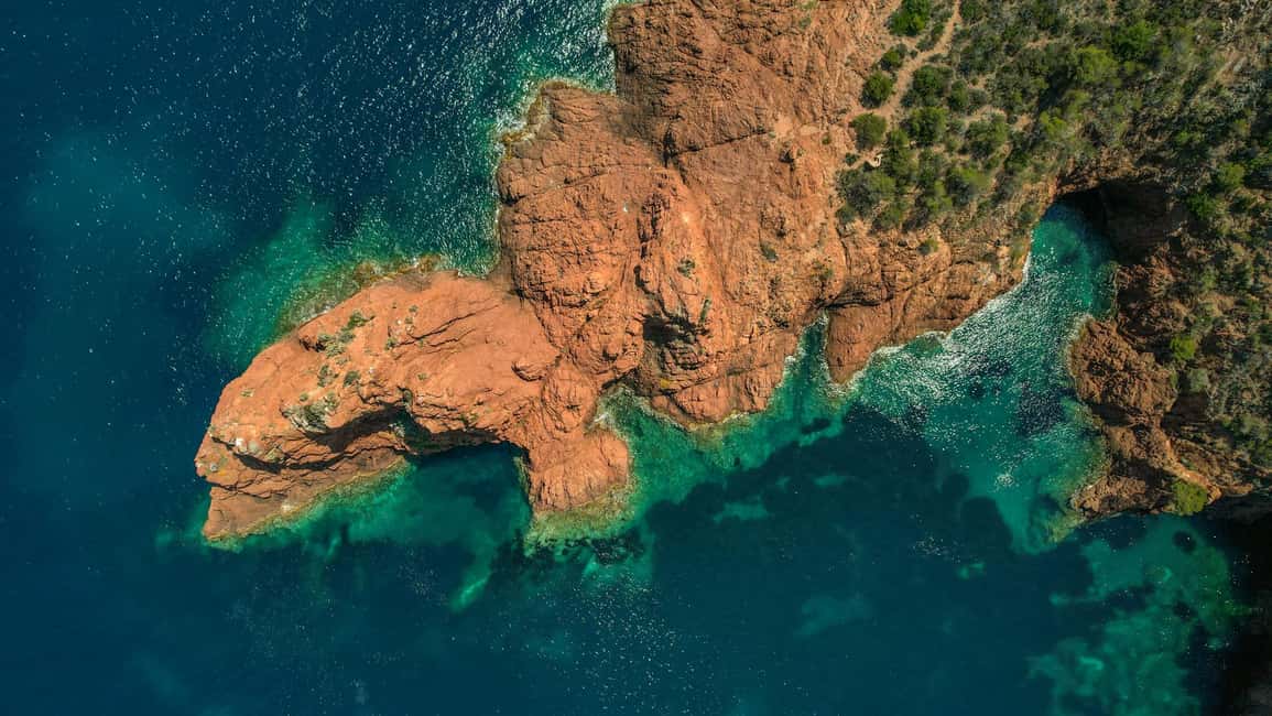 Catamaran excursion in the Estérel - The Lérins Islands route