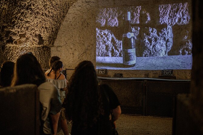 Caves Ambacia, Tour and Wine Tasting in Amboise, Loire Valley - Timing, Group Size, and How the Pace Feels