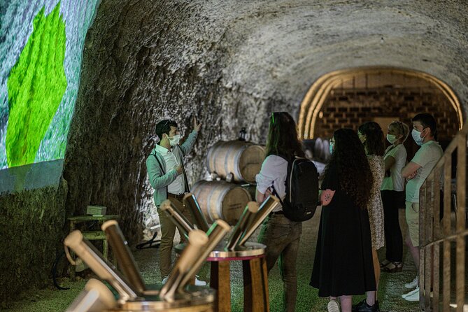 Caves Ambacia, Tour and Wine Tasting in Amboise, Loire Valley - Price and Value: Why This Tasting Can Be a Smart Use of Your Loire Day