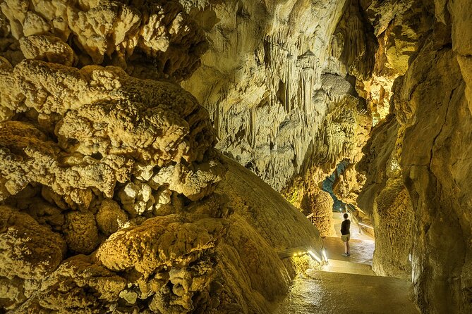 CAVES of CERDON and Prehistoric Leisure Park - Entrance ticket - Grottes du Cerdon and the Prehistoric Park: The Big Picture