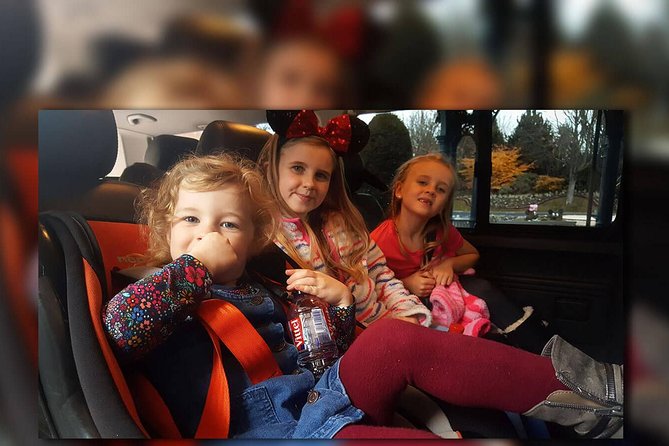 CDG - Euro Disney - CDG Two Way Private Shuttle Transfer - Flight Tracking Means Less Guesswork When Paris Delays You