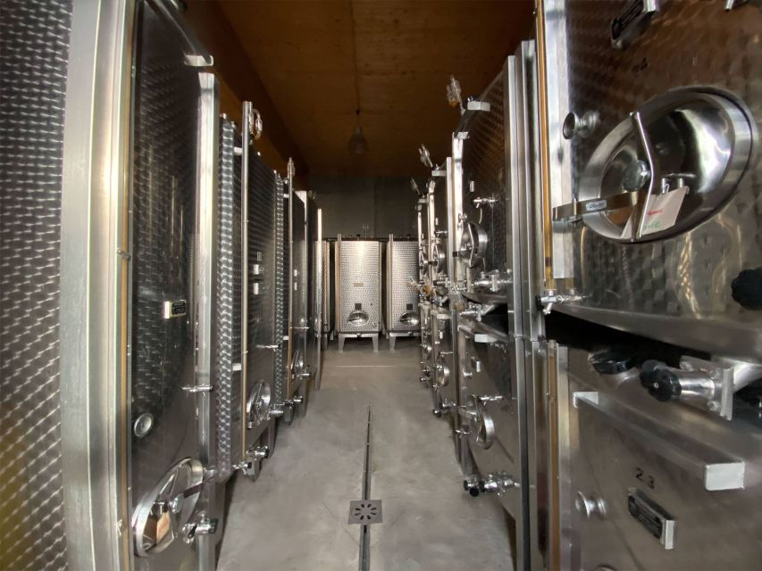 Cellar visit and Alsace wine tasting with a feminine touch - Inside the cellar and installations: what you’re really learning