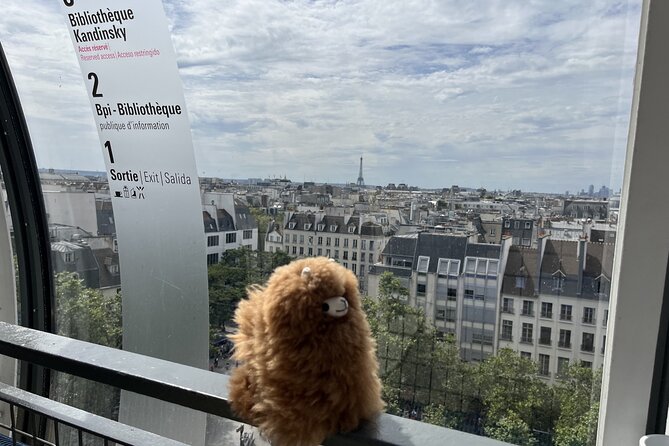 Centre Pompidou: Museum Ticket Entry& 3h Private Guided Tour - A private way into difficult modern art