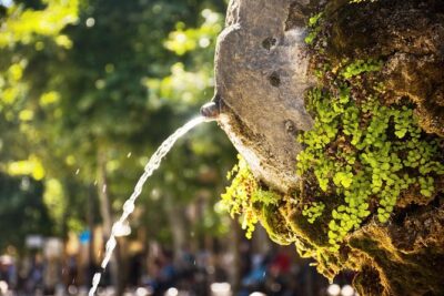 Cézanne Pathway : Wine and Art in Majestic Aix en Provence - Reading Aix through its 130 fountains