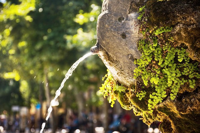 Cézanne Pathway : Wine and Art in Majestic Aix en Provence - Reading Aix through its 130 fountains