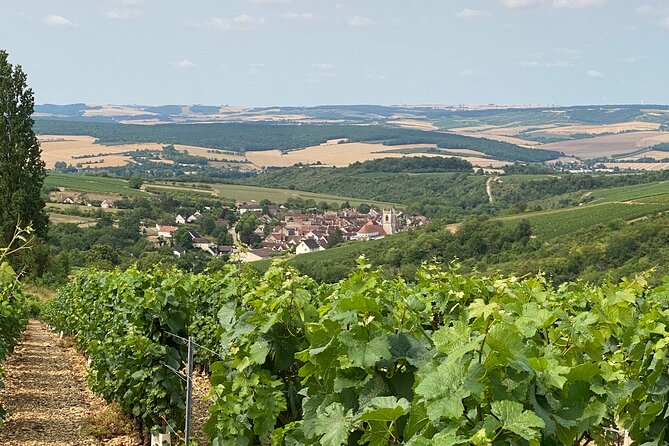Chablis and Burgundy Wine Tour Run by Sommelier with Lunch - The guide makes or breaks it: how to get more from the day