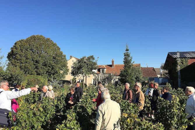 Chablis Tour and Tasting at Domaine Clotilde Davenne in French - French and English timing matters