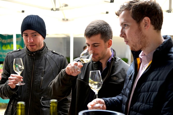 Chablis Tour and Tasting at Domaine Clotilde Davenne in French - Booking, weather, and cancellation details