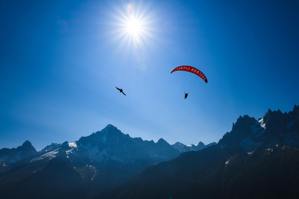 Chamonix: Tandem Paragliding Flight with Mont-Blanc Views - The flight itself: pilot training, steering, and that 20-minute magic