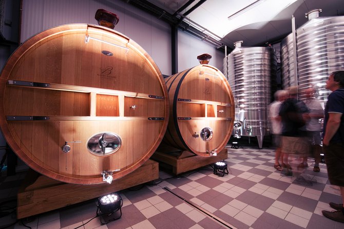 Champagne Albert Beerens Tour & Tasting - From the harvest to the cellar