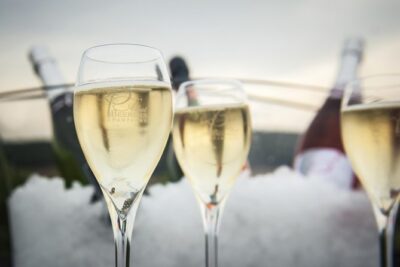 Champagne Albert Beerens Tour & Tasting - A modern Champagne house with a relaxed welcome