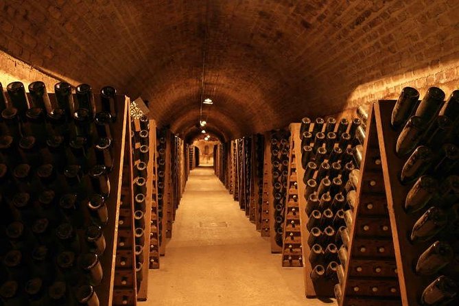 Champagne and Reims Tasting Day Trip from Paris - Avenue de Champagne: A Quick Stroll With Big-Castle Energy