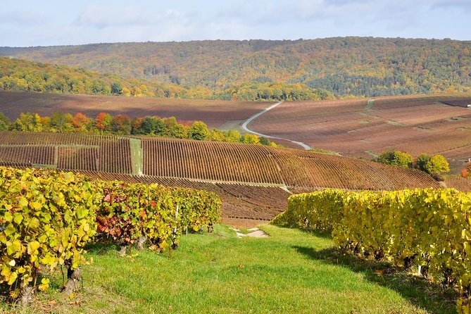 Champagne Area Small-Group Tour including a Top Champagne house & Family Winery - A Very Early Start: 7:30 Pickup and How the Day Stays Moving