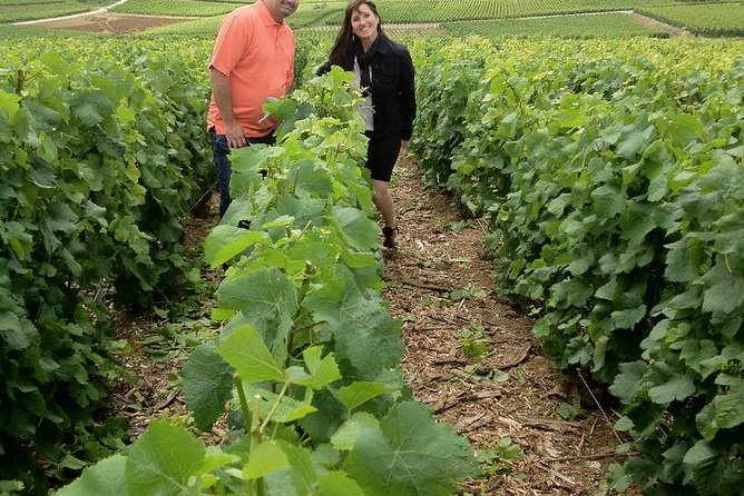 Champagne Area Small-Group Tour including a Top Champagne house & Family Winery - From Paris Countryside to Epernay: The Van Ride That Actually Matters