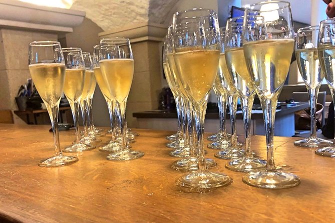 Champagne Area Small-Group Tour including a Top Champagne house & Family Winery - Family Winery Finale at Roger-Constant Lemaire: Meet the Growers, Taste Four
