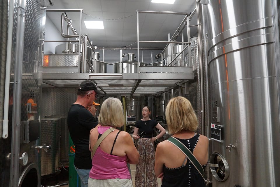 Champagne Cellar Experience: Explore our historic cellars - Biodiversity and sustainable viticulture: what you’ll actually hear