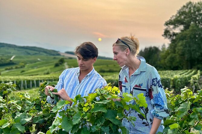 Champagne Day Trip from Paris with 8 Tastings & Lunch - Quick takeaways before you go