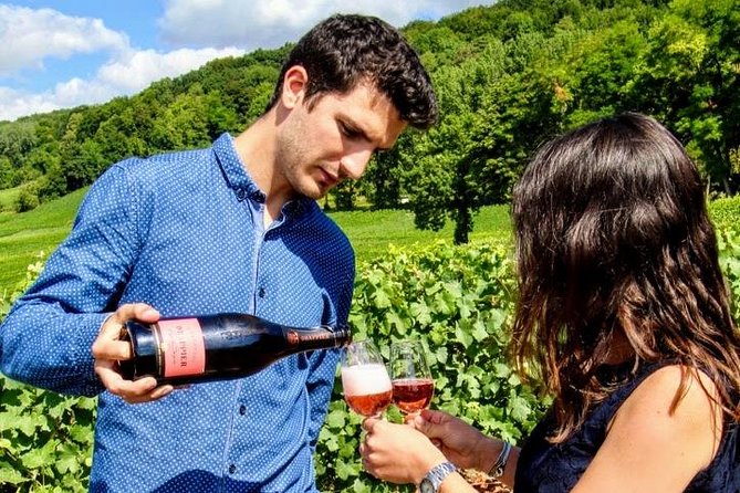 Champagne Day Trip from Paris with 8 Tastings & Lunch - The tasting plan: 8 different Champagnes without the guesswork