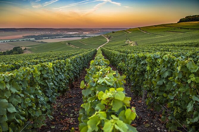 Champagne Day Trip from Reims including 9 Champagne Tastings - Hauvillers and the Dom Pérignon Abbey: Champagne’s Origin Stop