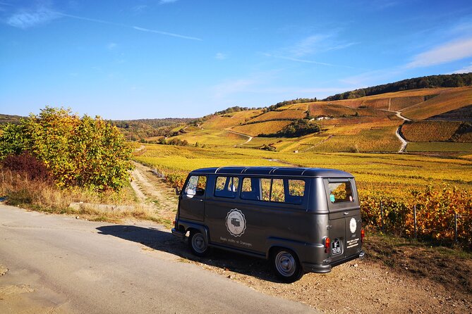 Champagne experience with a vintage van from Epernay - 3 hours - Stop in Aÿ-Champagne: village charm plus vineyard work talk