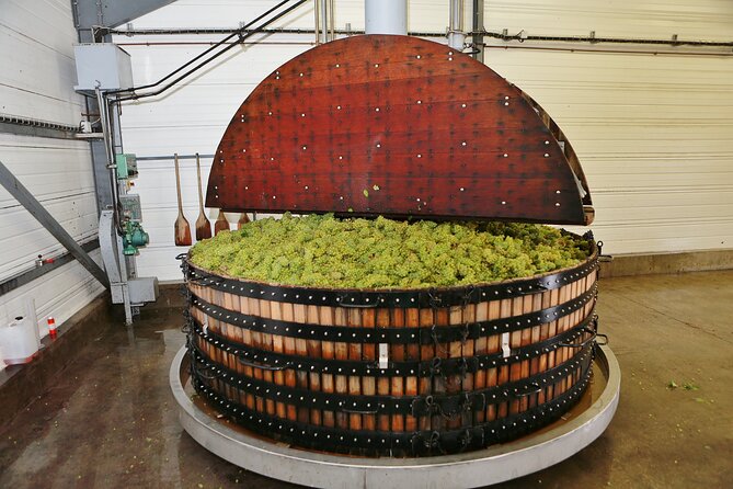 Champagne Guy De Chassey: Traditional Tour & Tasting - Reims Mountain begins with the vineyard