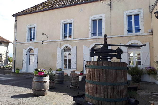 Champagne Lamiable: Traditional Tour & Tasting - Dug-by-hand cellar and estate walk: where the story becomes physical