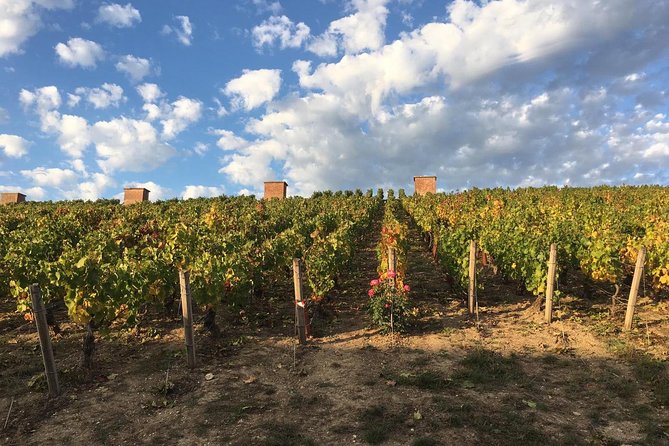 Champagne & Loire Valley Small Group Double Wine Day Tours - Why this two-day format works from Paris