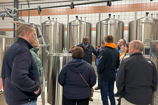 Champagne Munoz Bruneau : Half Day Visit and Tasting - What to wear and bring for vineyard stops