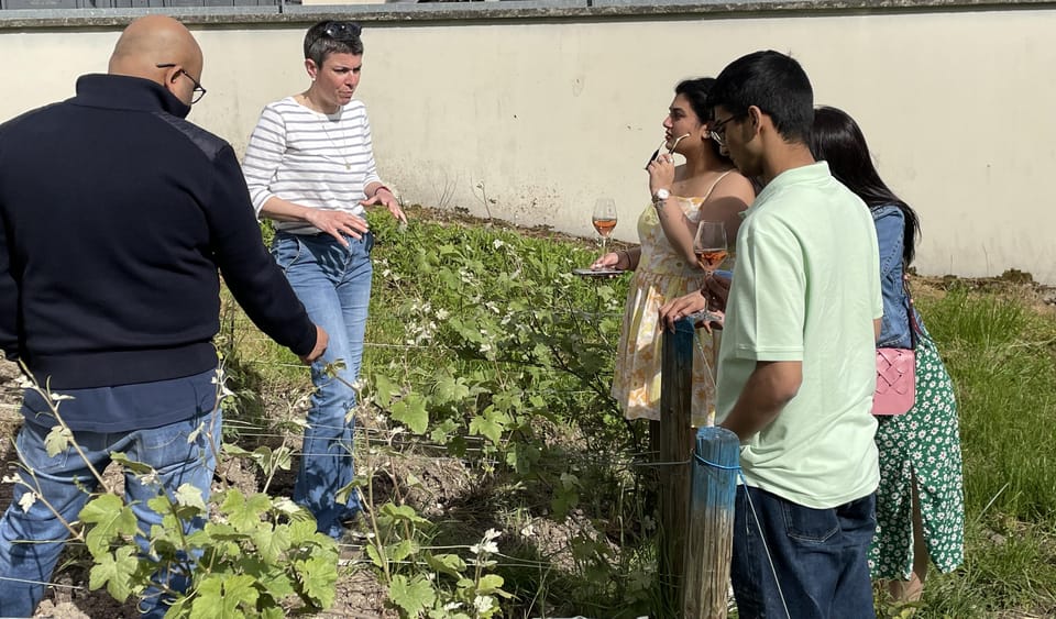 Champagne Munoz Bruneau : Half Day Visit and Tasting - The value of a family estate tasting at $94 per person