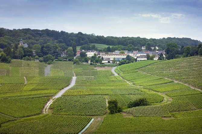 Champagne Region Private Day Trip from Paris - Key highlights worth marking on your calendar