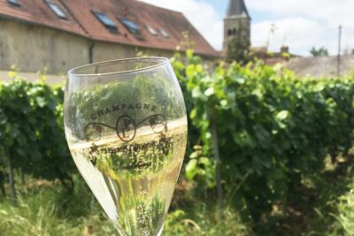 Champagne Sabrage & Tasting - Champagne PIERRE Laurent - What happens during the one-hour visit