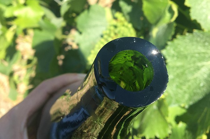 Champagne Sabrage & Tasting - Champagne PIERRE Laurent - Is $42.33 good value for one hour?