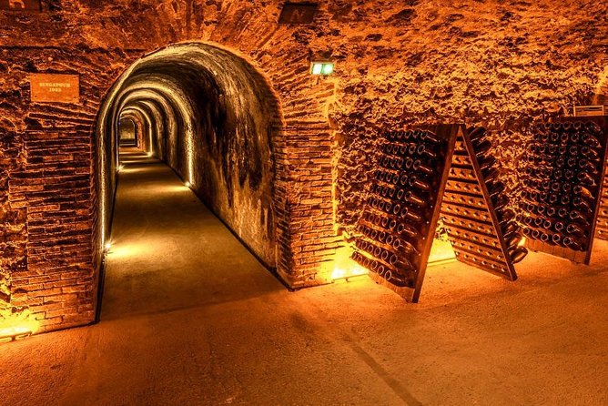 Champagne Small-Group Day Trip with Lunch and Tastings from Paris - How the Tastings Teach You What to Buy Later