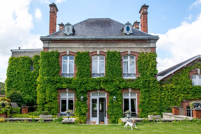 Champagne Tasting Class and Lunch near Epernay - The Quiz + Olfactory Workshop: Training Your Nose, Not Just Your Tongue