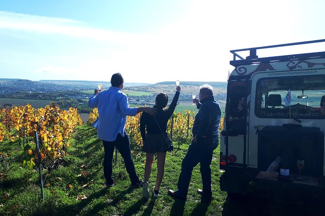 Champagne tasting, panoramic walk in the vineyards - Key highlights