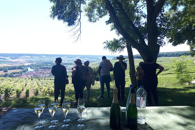 Champagne tasting, panoramic walk in the vineyards - From Reims to Hautvillers: the ride that frames the whole experience