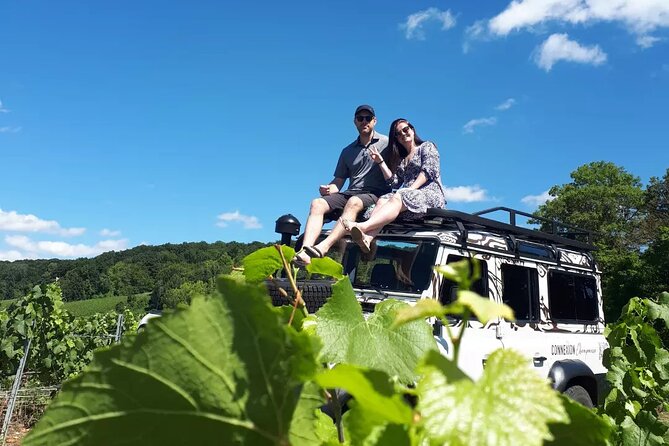 Champagne tasting, panoramic walk in the vineyards - How the view works: panoramic stops over Reims and the Marne valley