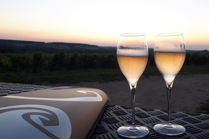 Champagne tasting, panoramic walk in the vineyards - Timing, weather, and how to plan your day in Reims
