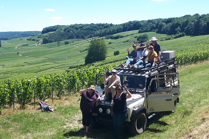 Champagne tasting, panoramic walk in the vineyards - Best use cases: who this tour fits (and who might be disappointed)