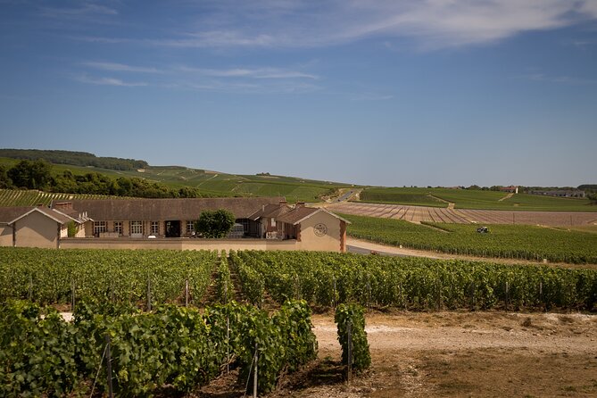 Champagne Tasting Tour Day Trip From Paris - Inside the cellar mindset: what tastings are really teaching