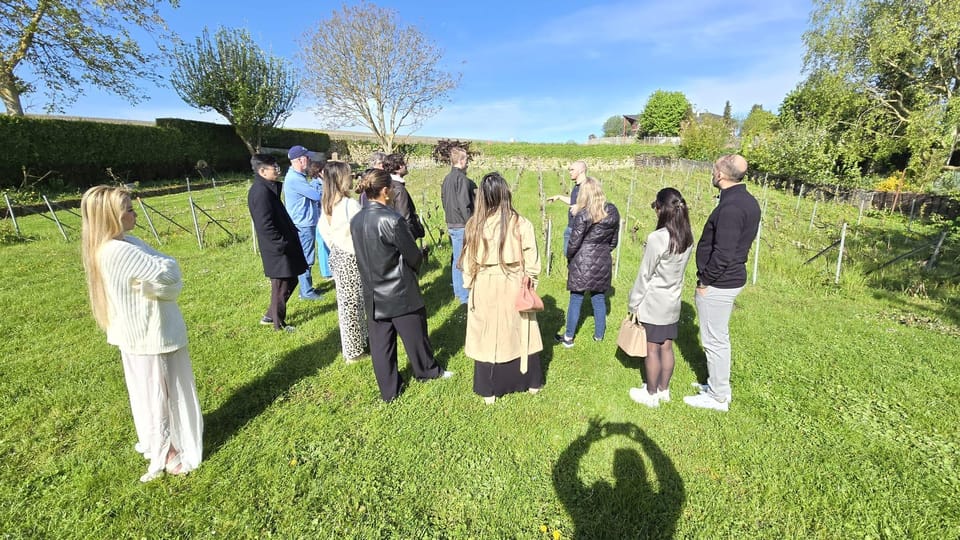 Champagne Vineyard Experience: Delve into the terroir - Best for whom: the kind of traveler who’ll get the most