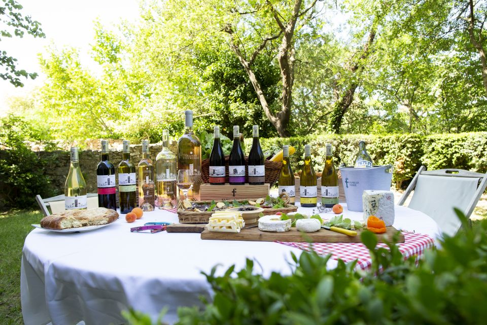 Château de Luc: Unique visit and wine tasting - Key moments that make Château de Luc memorable